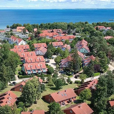 Papillon 05-6 Boltenhagen (Ostseebad)