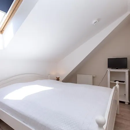 Papillon 05-6 Boltenhagen (Ostseebad)