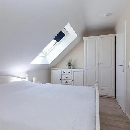 Papillon 05-6 Boltenhagen (Ostseebad)