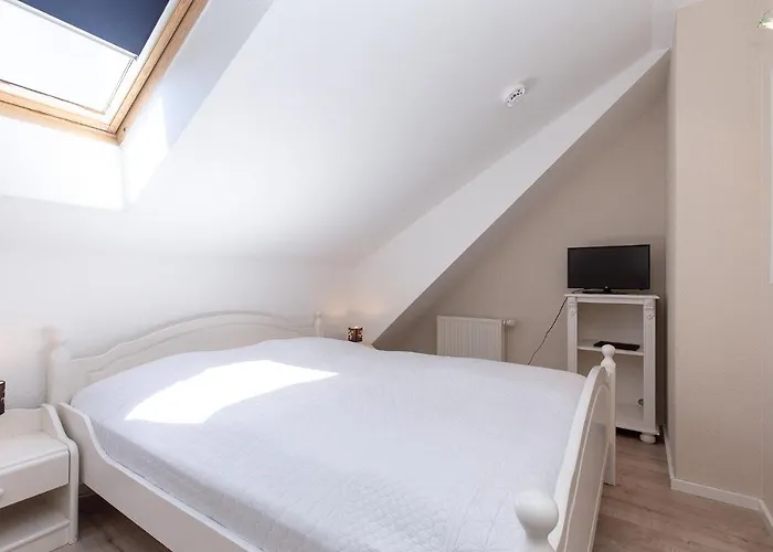 Papillon 05-6 Boltenhagen (Ostseebad)